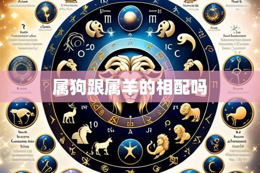 属狗跟属羊的相配吗