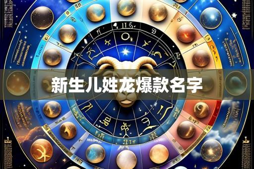 新生儿姓龙爆款名字