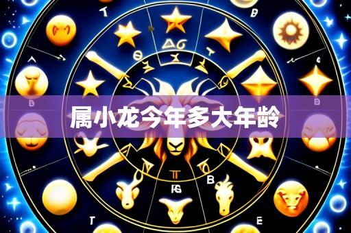 属小龙今年多大年龄