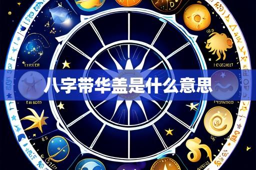 八字带华盖是什么意思