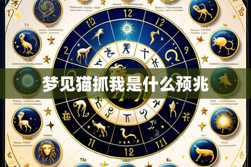 梦见猫抓我是什么预兆