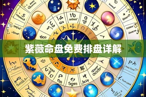 紫薇命盘免费排盘详解