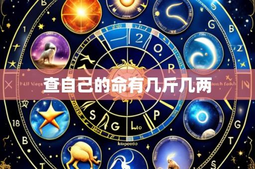 查自己的命有几斤几两