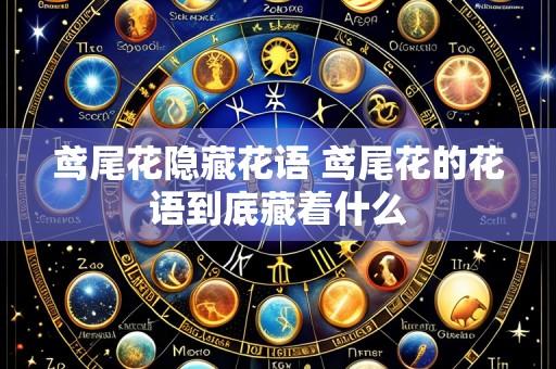 鸢尾花隐藏花语 鸢尾花的花语到底藏着什么