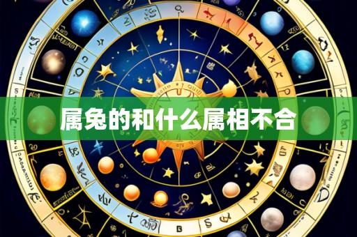 属兔的和什么属相不合