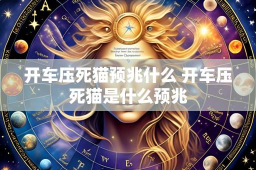 开车压死猫预兆什么 开车压死猫是什么预兆
