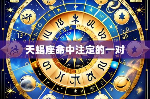 天蝎座命中注定的一对
