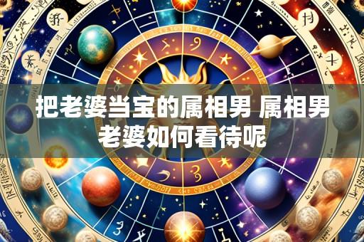 把老婆当宝的属相男 属相男老婆如何看待呢