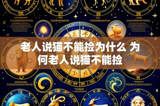 老人说猫不能捡为什么 为何老人说猫不能捡