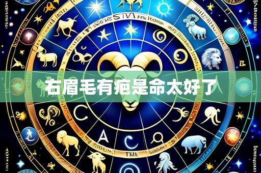 右眉毛有疤是命太好了