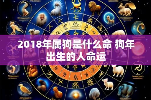 2018年属狗是什么命 狗年出生的人命运