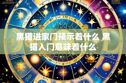 黑猫进家门预示着什么 黑猫入门意味着什么
