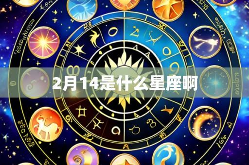 2月14是什么星座啊