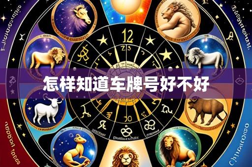怎样知道车牌号好不好