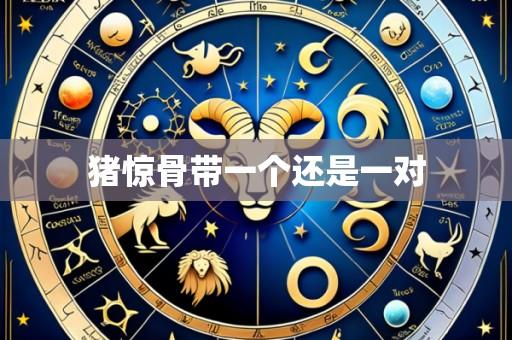 猪惊骨带一个还是一对