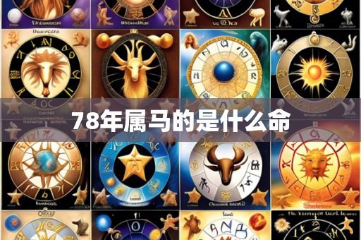 78年属马的是什么命
