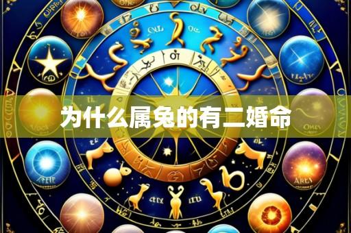 为什么属兔的有二婚命