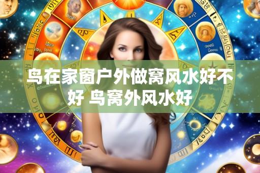 鸟在家窗户外做窝风水好不好 鸟窝外风水好