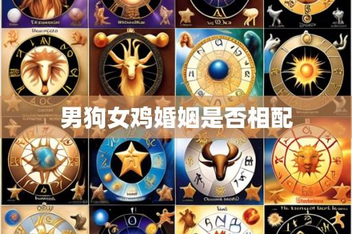 男狗女鸡婚姻是否相配