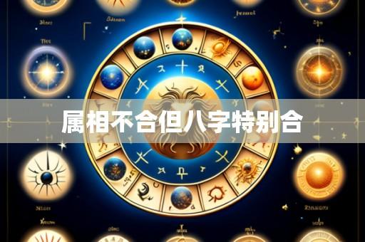 属相不合但八字特别合