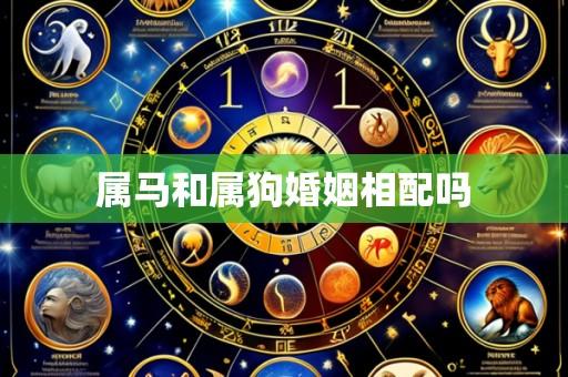 属马和属狗婚姻相配吗