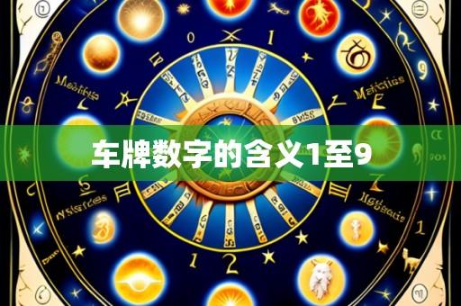 车牌数字的含义1至9