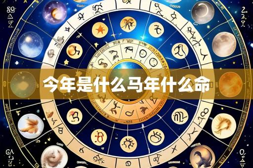 今年是什么马年什么命