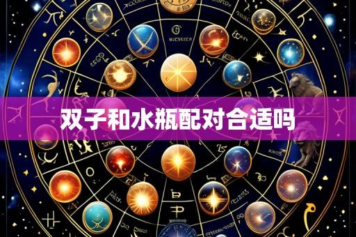 双子和水瓶配对合适吗