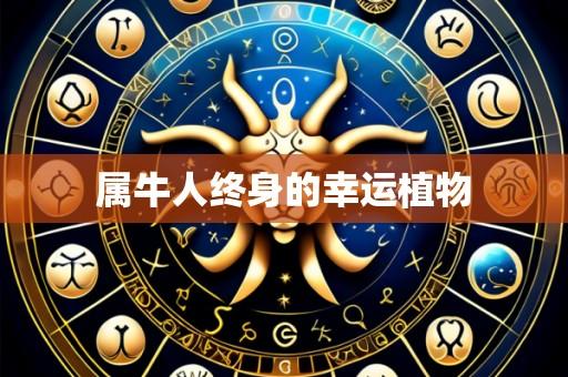 属牛人终身的幸运植物