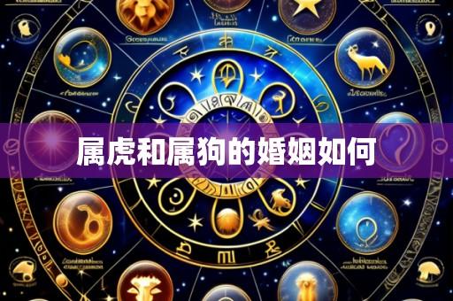 属虎和属狗的婚姻如何
