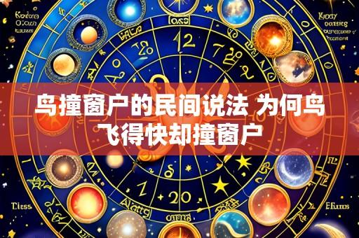 鸟撞窗户的民间说法 为何鸟飞得快却撞窗户