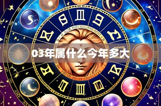 03年属什么今年多大