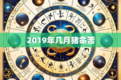 2019年几月猪命苦