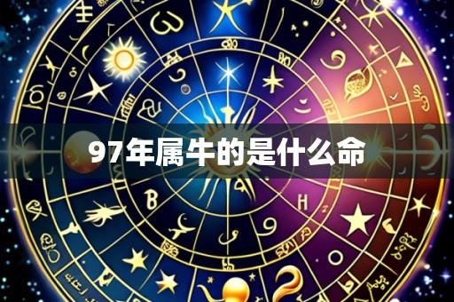 97年属牛的是什么命