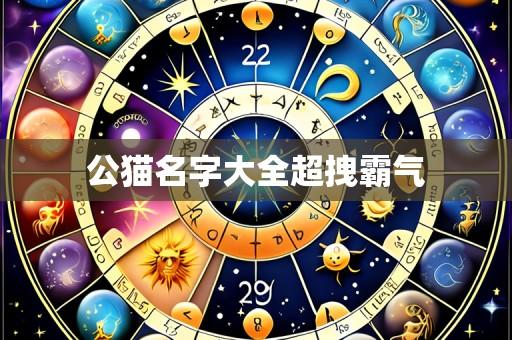 公猫名字大全超拽霸气