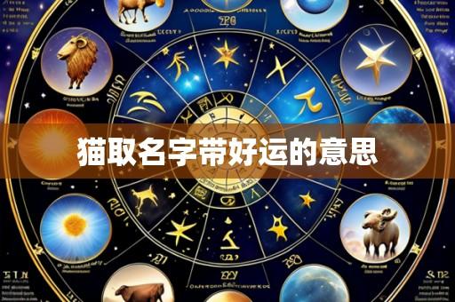 猫取名字带好运的意思