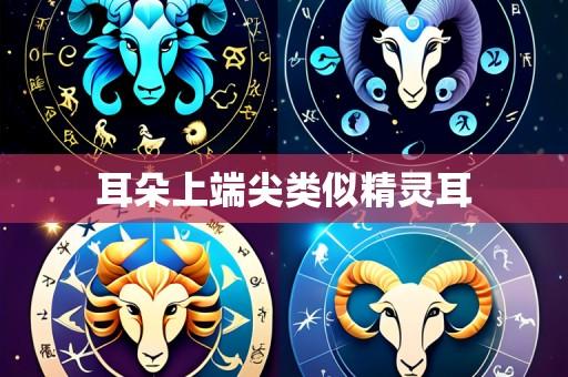 耳朵上端尖类似精灵耳