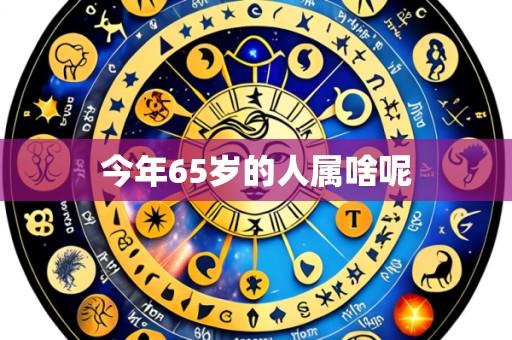 今年65岁的人属啥呢