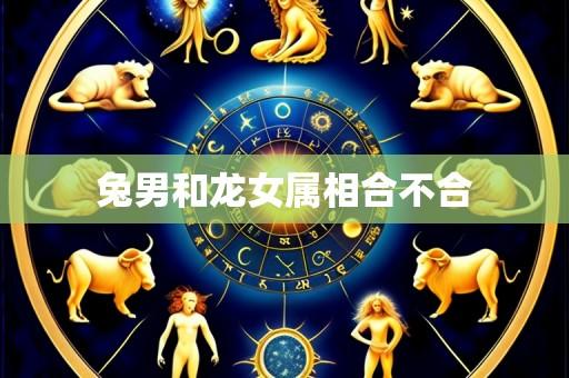 兔男和龙女属相合不合
