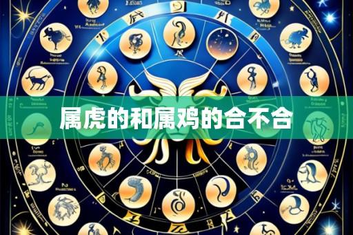 属虎的和属鸡的合不合