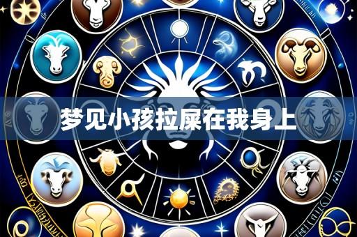 梦见小孩拉屎在我身上