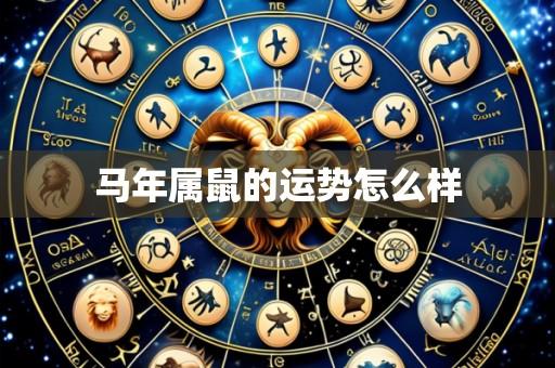 马年属鼠的运势怎么样