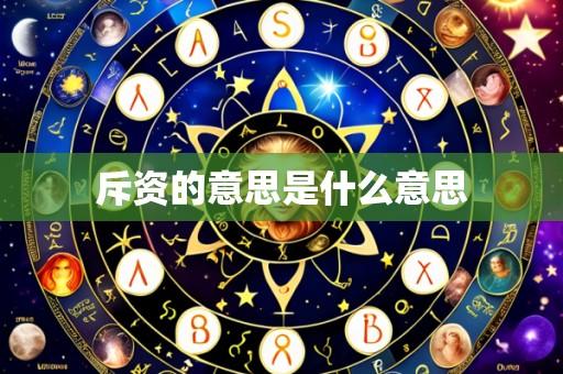 斥资的意思是什么意思