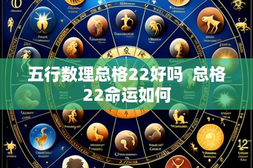 五行数理总格22好吗  总格22命运如何