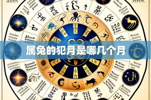 属兔的犯月是哪几个月