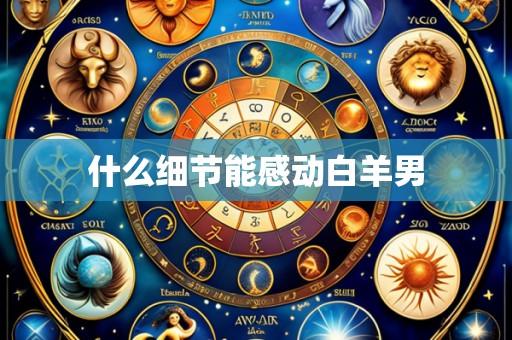 什么细节能感动白羊男