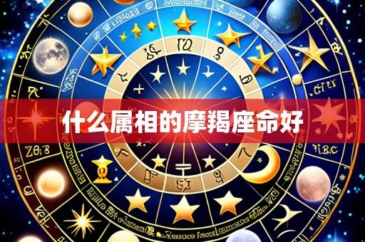什么属相的摩羯座命好