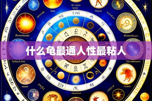 什么龟最通人性最粘人