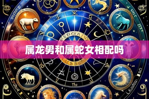 属龙男和属蛇女相配吗