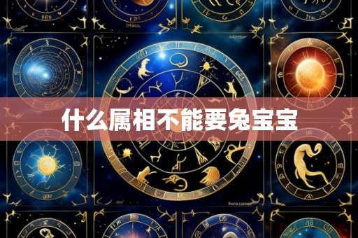 什么属相不能要兔宝宝